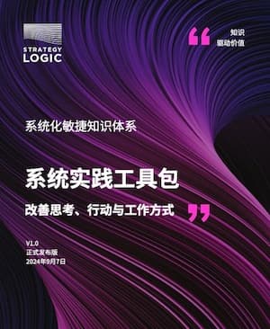 系统实践:改善思考、行动与工作方式